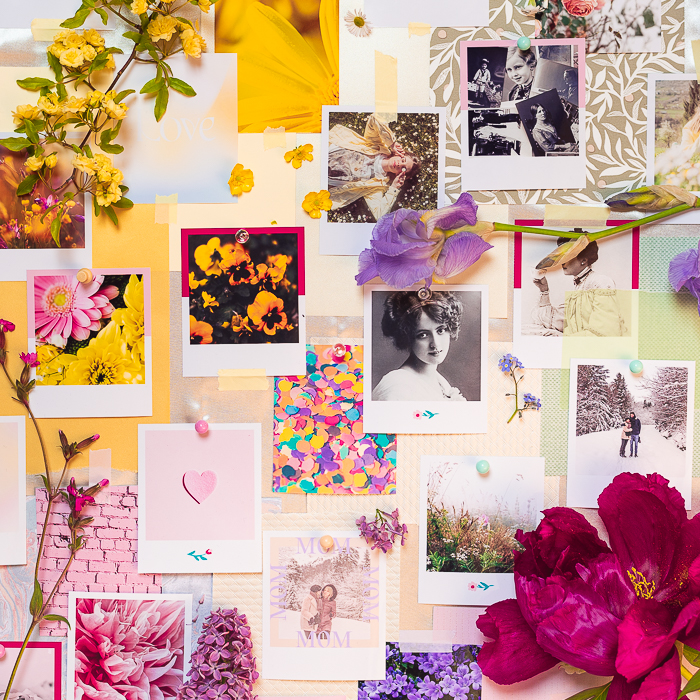 Moodboard artistique et fleuri illustrant les produits de la marque Cheerz.