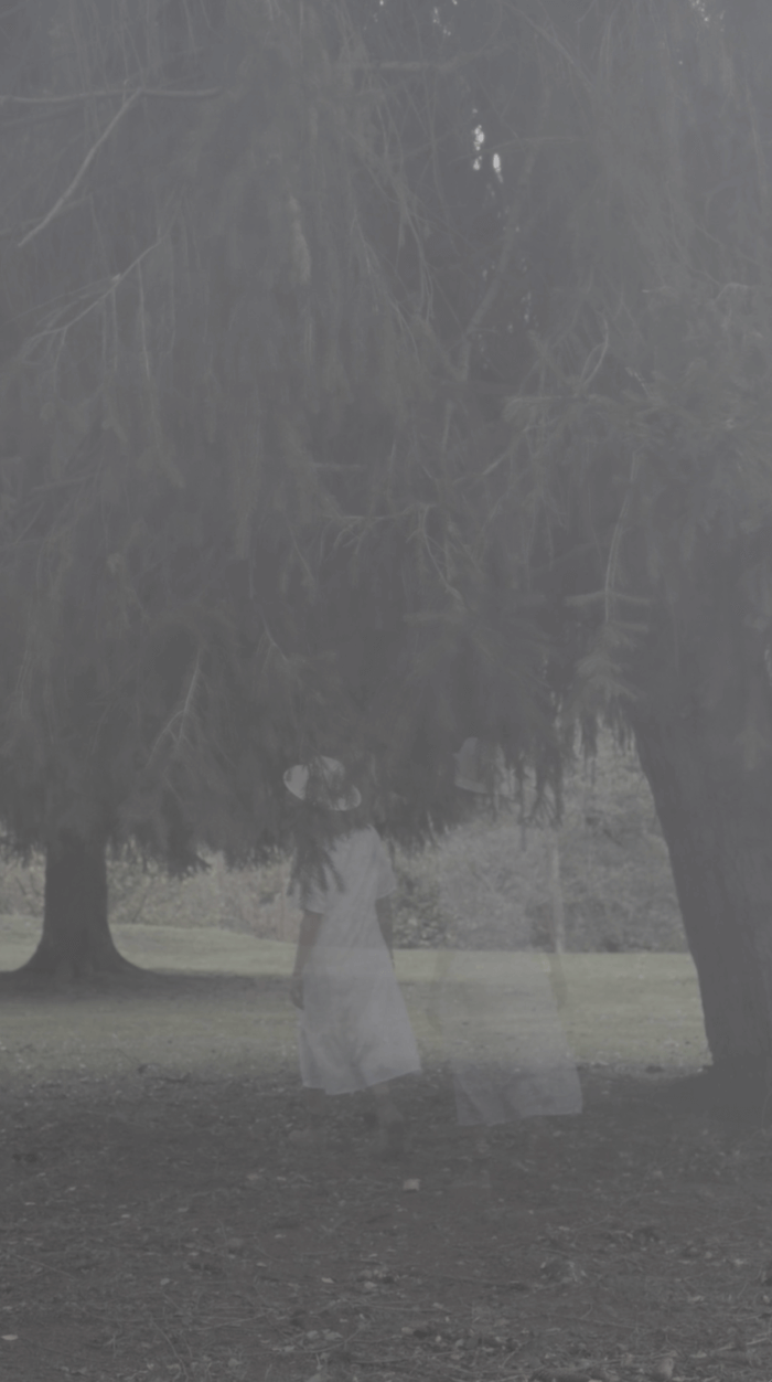 Video creative Halloween Apparition Sapins Montagne