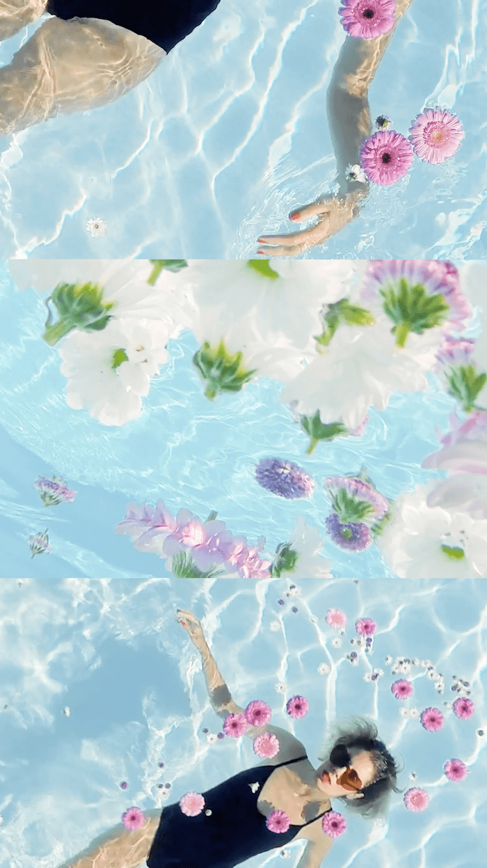 Video creative piscine été fleurs