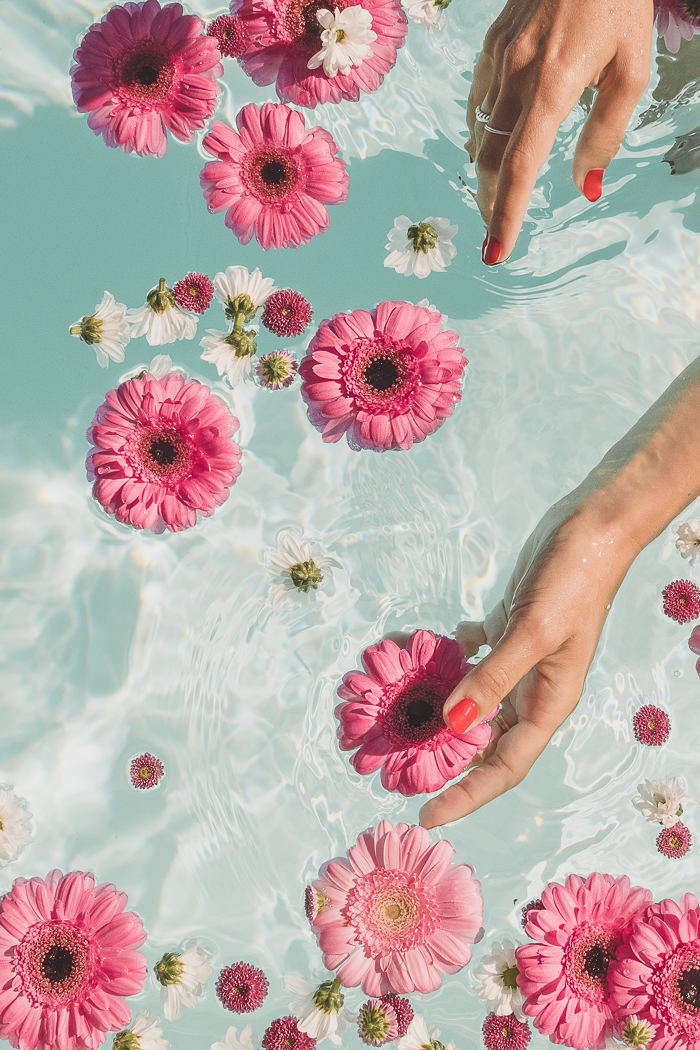 Photographie éditoriale avec piscine remplie de fleurs roses et blanches.