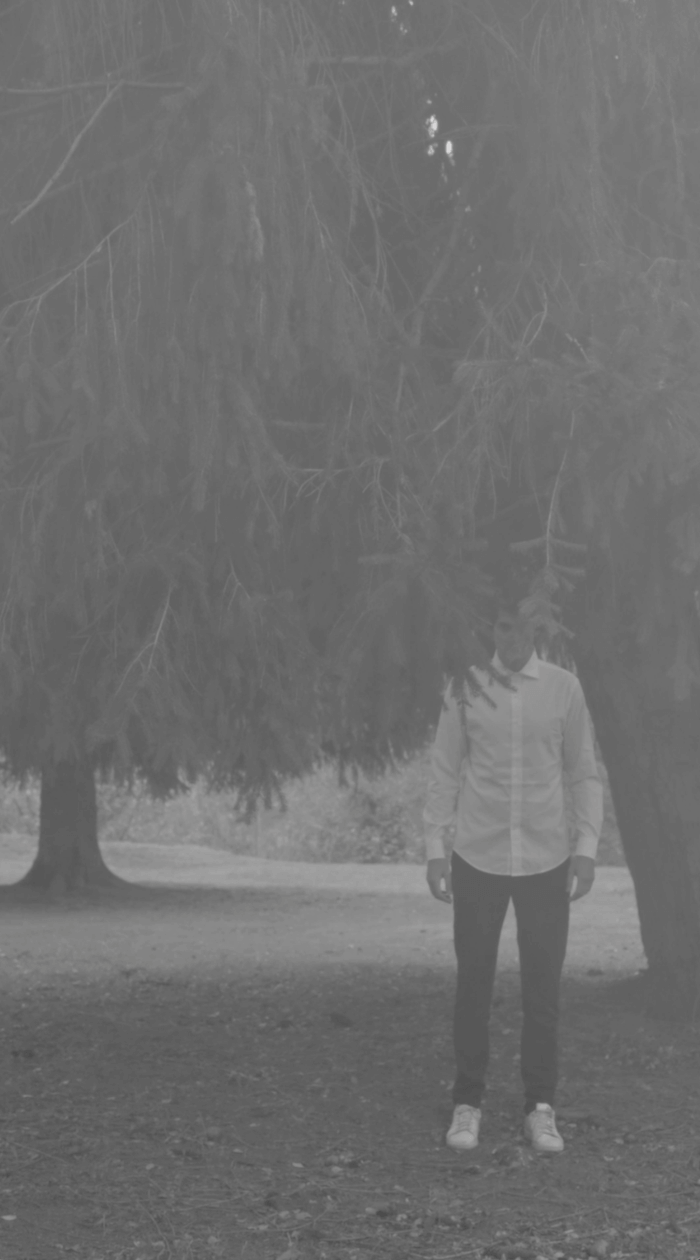 Halloween – Sapins – Malik seul creepy