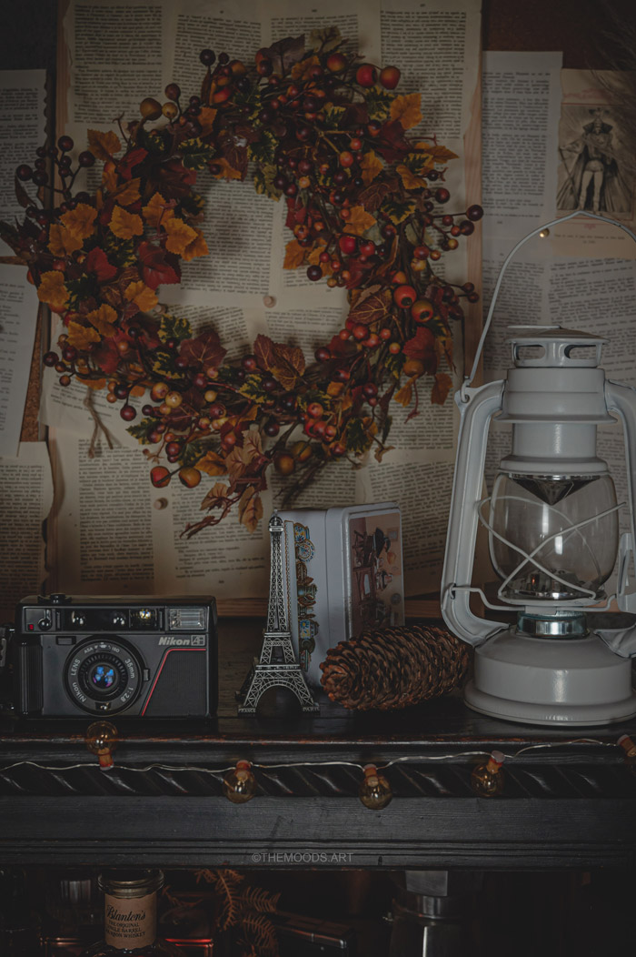 Photographie des détails d'un cabinet de curiosité sur le thème de l'automne et d'halloween