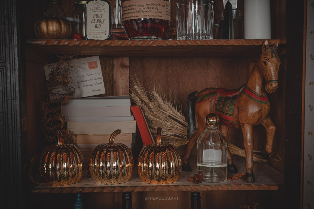 Photographies des détails déco du cabinet de curiosité sur le thème de l'automne et d'halloween