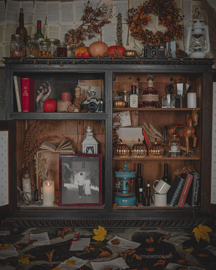 Cabinet-curiosité-automne-cosy-halloween-vue-finale