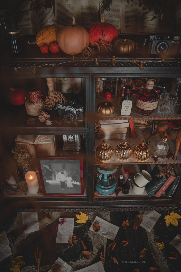 Photographie vue d'en haut d'un cabinet de curiosité sur le thème de l'automne et d'halloween