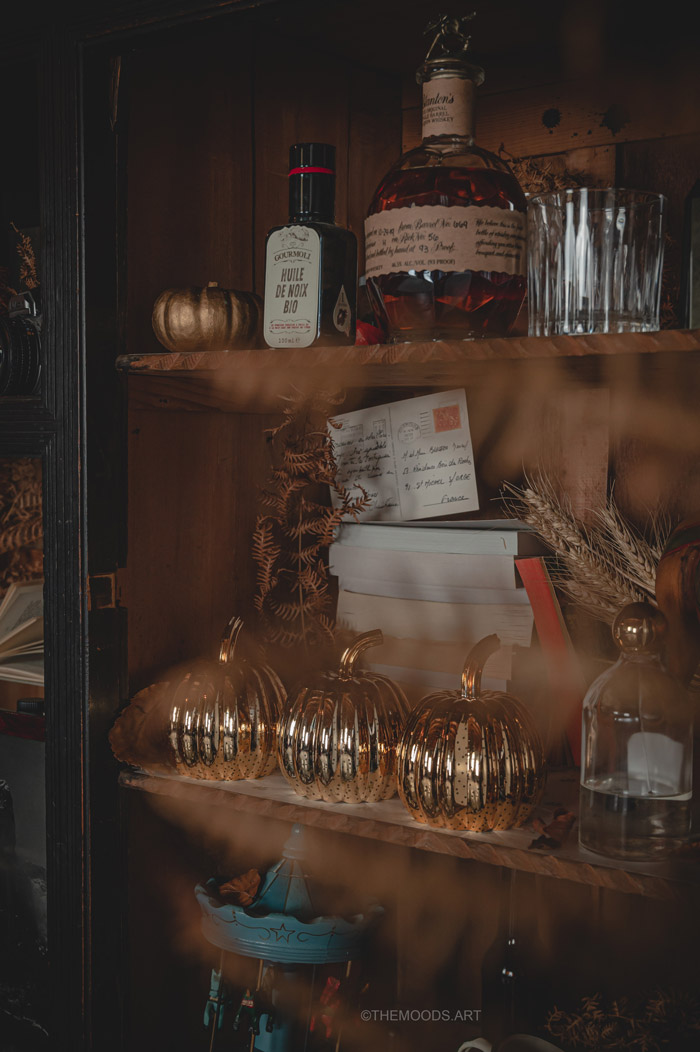 Photographie artistique d'un cabinet de curiosité sur le thème de l'automne et d'halloween